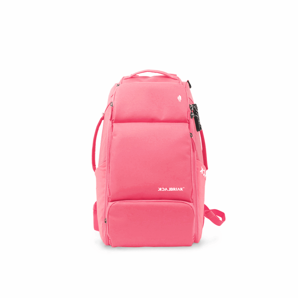 best travel backpack 25l 25L Backpack