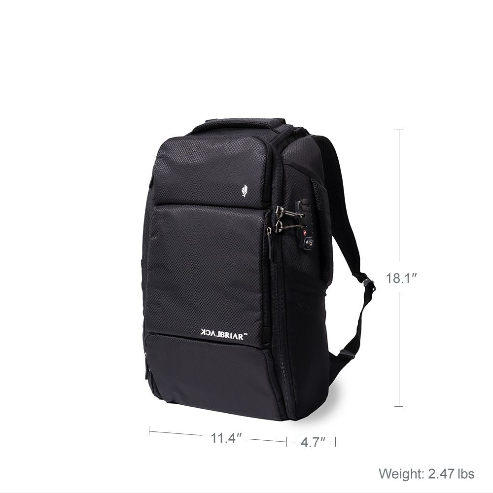 Zappy 20L Backpack - Light Backpack – BlackBriar USA